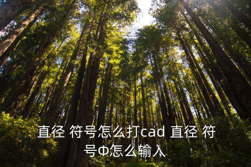  直徑 符號怎么打cad 直徑 符號Φ怎么輸入