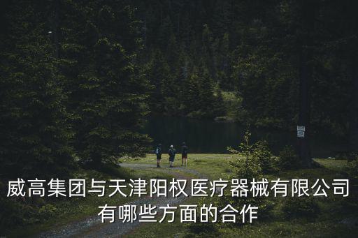 威高集團與天津陽權醫療器械有限公司有哪些方面的合作