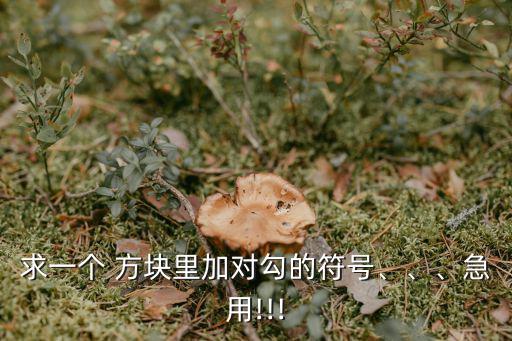 求一個(gè) 方塊里加對(duì)勾的符號(hào)、、、急用!!!