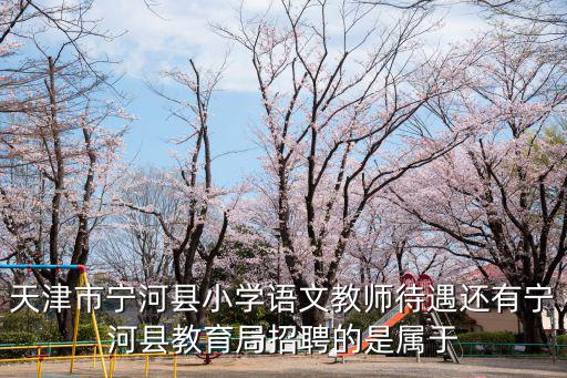 天津市寧河縣小學(xué)語文教師待遇還有寧河縣教育局招聘的是屬于