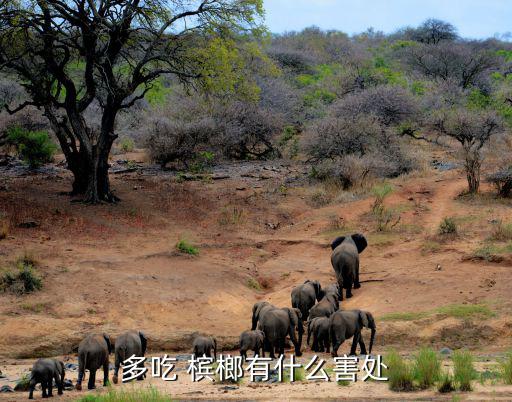 吃檳榔有什么危害,檳榔三大危害:一是口腔癌二是腦瘤