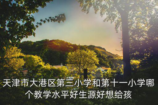 天津市大港區(qū)第三小學(xué)和第十一小學(xué)哪個教學(xué)水平好生源好想給孩