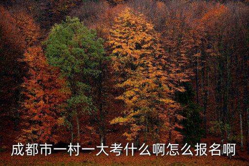 成都市一村一大考試內容，一村一名大學生考試都考什么啊 有什么科目 誰知道急