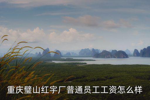 重慶市紅宇玻璃鋼，重慶璧山紅宇廠普通員工工資怎么樣