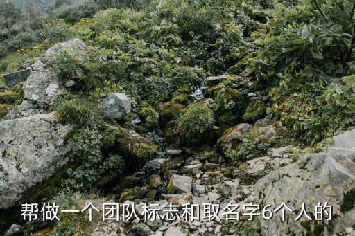 團隊logo，團隊標(biāo)簽是什么