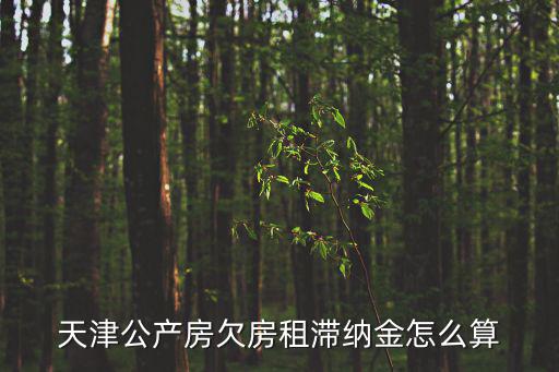 天津公產房欠房租滯納金怎么算