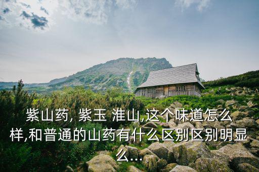 紫玉淮山,紫參紫山藥湯圓、糖水、芝麻