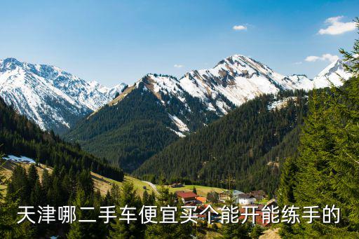天津哪二手車便宜買個能開能練手的