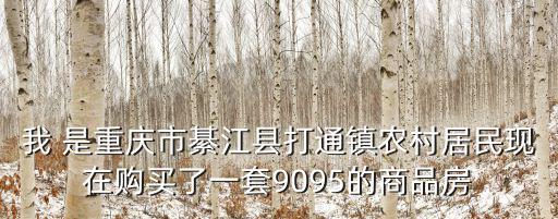 我 是重慶市綦江縣打通鎮農村居民現在購買了一套9095的商品房