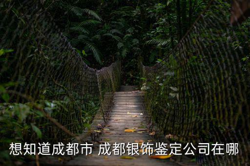 想知道成都市 成都銀飾鑒定公司在哪