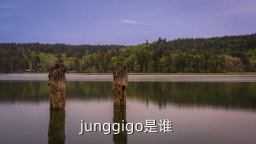 junggigo是誰