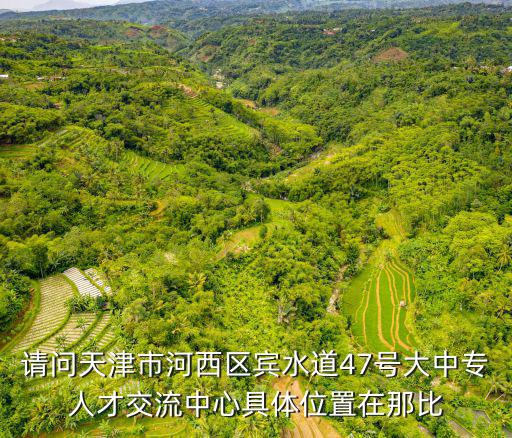 請問天津市河西區賓水道47號大中專人才交流中心具體位置在那比
