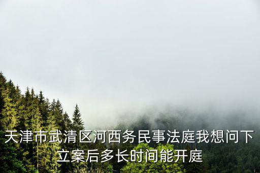 天津市武清區(qū)河西務(wù)民事法庭我想問下立案后多長(zhǎng)時(shí)間能開庭
