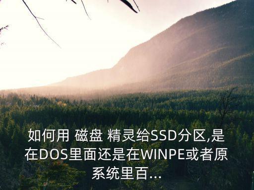 磁盤精靈,免費安裝光盤寶靈提供綠色版本下載
