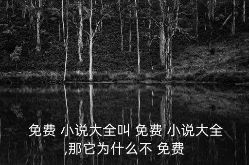  免費 小說大全叫 免費 小說大全,那它為什么不 免費