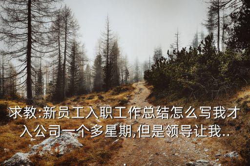 求教:新員工入職工作總結(jié)怎么寫(xiě)我才入公司一個(gè)多星期,但是領(lǐng)導(dǎo)讓我...