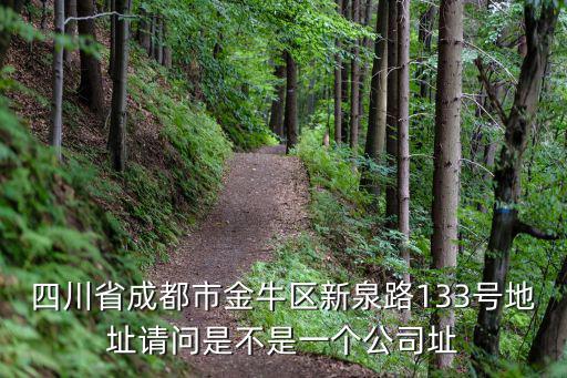 四川省成都市金牛區新泉路133號地址請問是不是一個公司址
