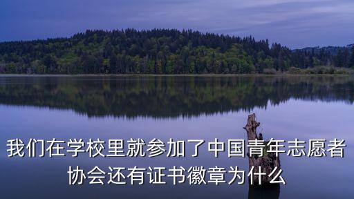 天津市青年志愿者協會公章，我們在學校里就參加了中國青年志愿者協會還有證書徽章為什么
