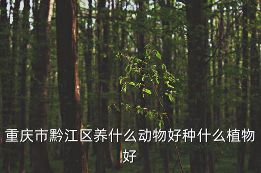 重慶市黔江區(qū)養(yǎng)什么動物好種什么植物好