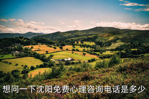 想問一下沈陽免費心理咨詢電話是多少