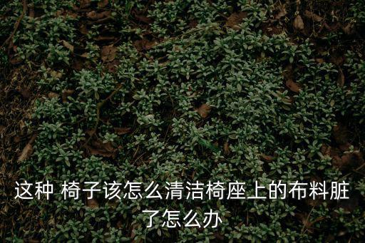 這種 椅子該怎么清潔椅座上的布料臟了怎么辦