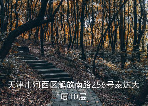 天津市河西區解放南路256號泰達大廈10層