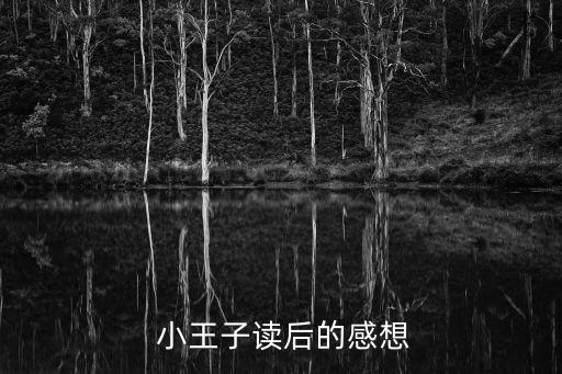  小王子讀后的感想