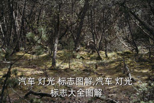 汽車 燈光 標(biāo)志圖解,汽車 燈光 標(biāo)志大全圖解