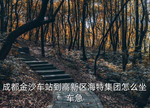 成都市集成電路行業(yè)協(xié)會 海特高新，現(xiàn)在pos機(jī)業(yè)務(wù)還好做嗎我想問下都有哪些宣傳銷售方式我是代理