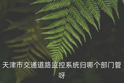 天津市交通道路監控系統歸哪個部門管呀