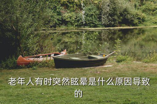  老年人有時突然眩暈是什么原因導致的