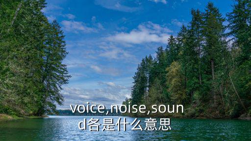  voice,noise,sound各是什么意思