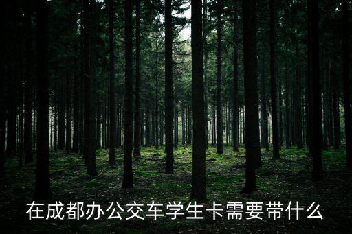 在成都辦公交車學生卡需要帶什么