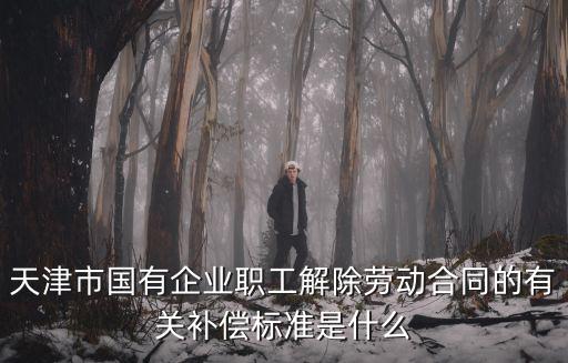 天津市國有企業(yè)職工解除勞動合同的有關(guān)補償標(biāo)準(zhǔn)是什么