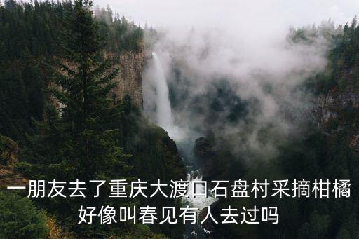 一朋友去了重慶大渡口石盤村采摘柑橘好像叫春見有人去過嗎
