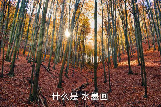 什么是 水墨畫