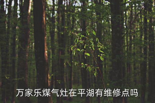 天津市萬家樂煤氣灶維修點(diǎn)，萬家樂煤氣灶在平湖有維修點(diǎn)嗎