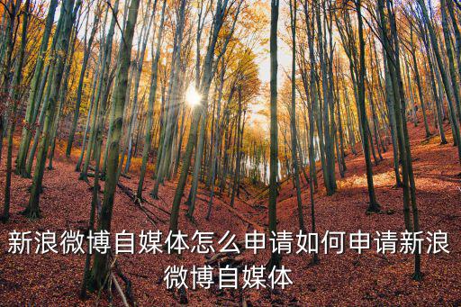 新浪微博自媒體怎么申請(qǐng)如何申請(qǐng)新浪微博自媒體