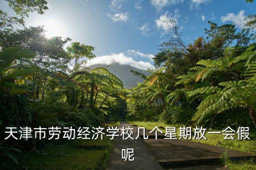 天津市勞動經(jīng)濟(jì)學(xué)校幾個星期放一會假呢