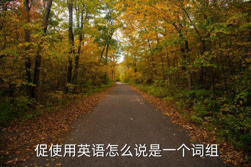  促使用英語怎么說是一個詞組