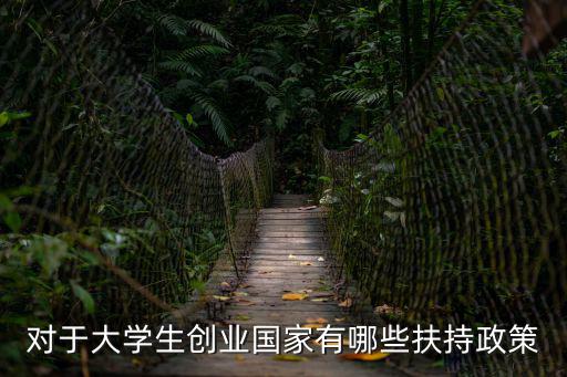 對于大學生創業國家有哪些扶持政策