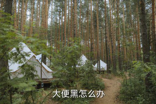  大便黑怎么辦
