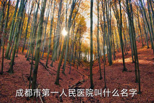 成都市第一人民醫院叫什么名字