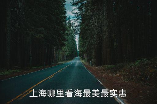 上海哪里看海最美最實(shí)惠