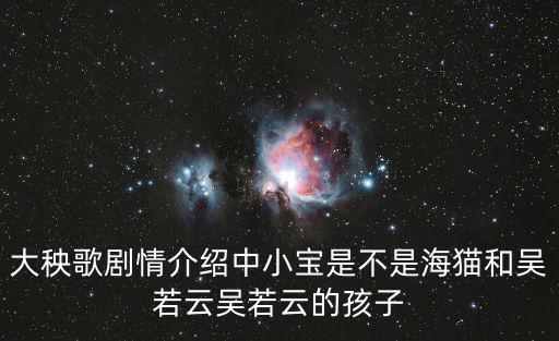 大秧歌劇情介紹中小寶是不是海貓和吳若云吳若云的孩子