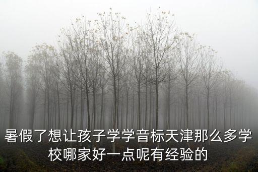 暑假了想讓孩子學學音標天津那么多學校哪家好一點呢有經驗的