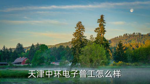 天津市中環電陶有限公司，天津中環電子普工怎么樣