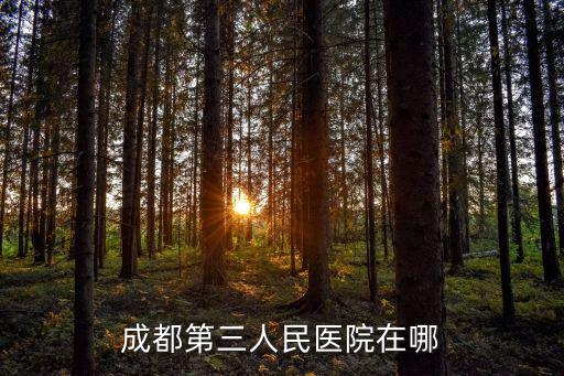 成都第三人民醫(yī)院在哪