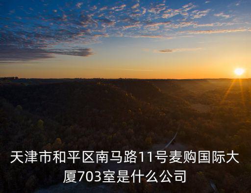 天津市輝煌時代有限公司，天津市和平區南馬路11號麥購國際大廈703室是什么公司