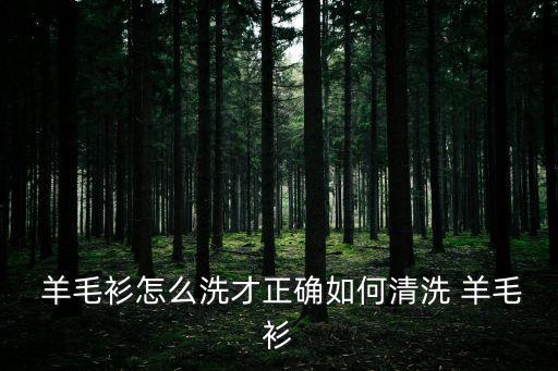  羊毛衫怎么洗才正確如何清洗 羊毛衫